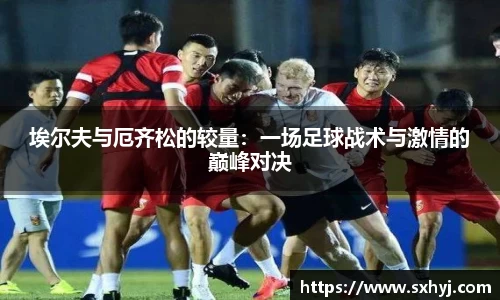 中欧体育平台